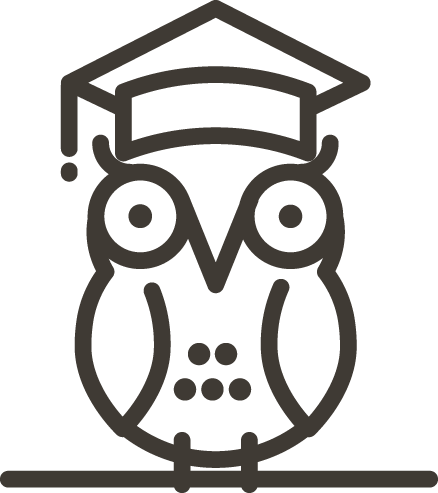 Owl Illustration